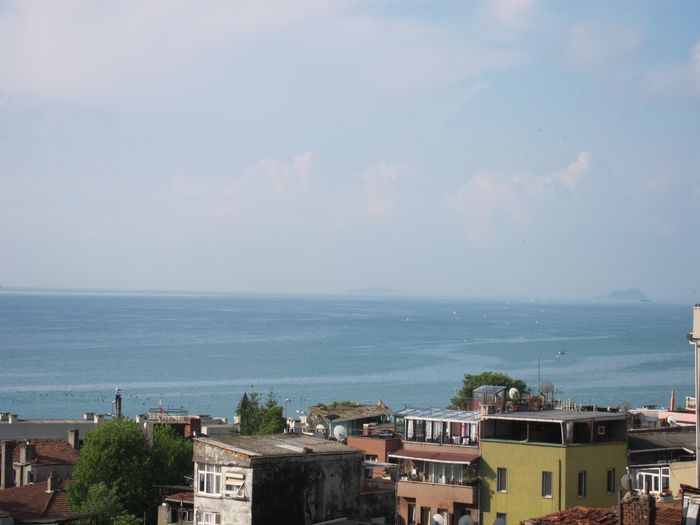 Zoe and Theodora part 11