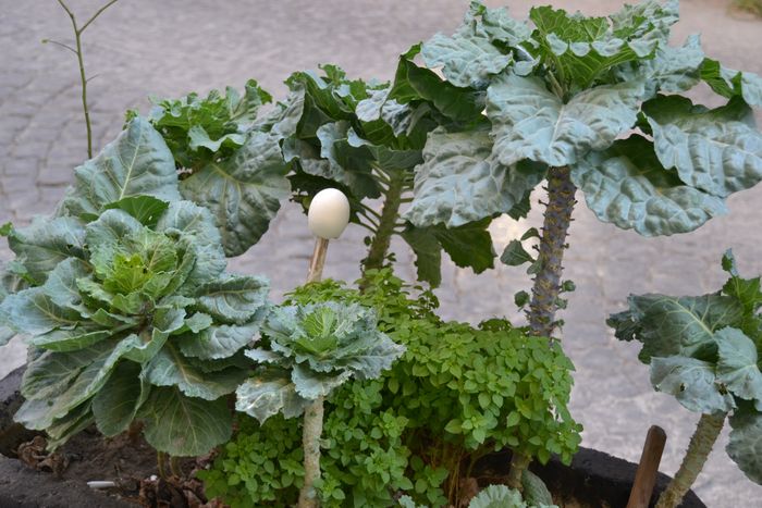 Zoe and Theodora part 94