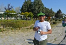 The Democratic Nature of the Serbian Parliament