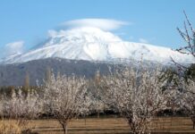 Evidence from the Final Siege