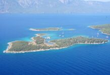 The Troubling Reign of King Alexander