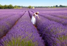 The Feast of Isis at Busiris