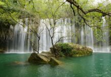 Egyptian Influence on Greek Religious Practices